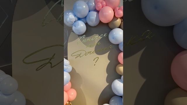 Фотозона на гендер пати смотреть онлайн