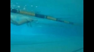 Плавание дельфином. Как научиться плавать дельфином без ошибок