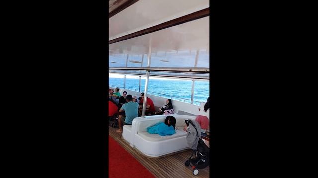 Египет 2024, Rehana Sharm Resort ⭐⭐⭐⭐