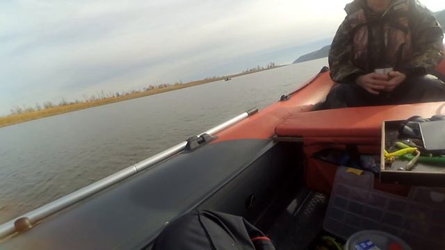 Судак на джиг осенью