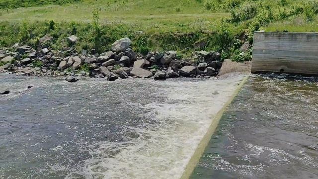 Июнь в Петрокаменском