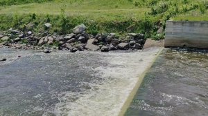 Июнь в Петрокаменском