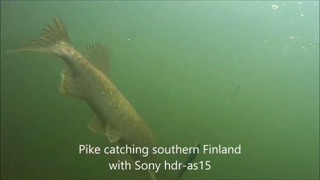 Pikefishing With Rapala Lure, Underwater