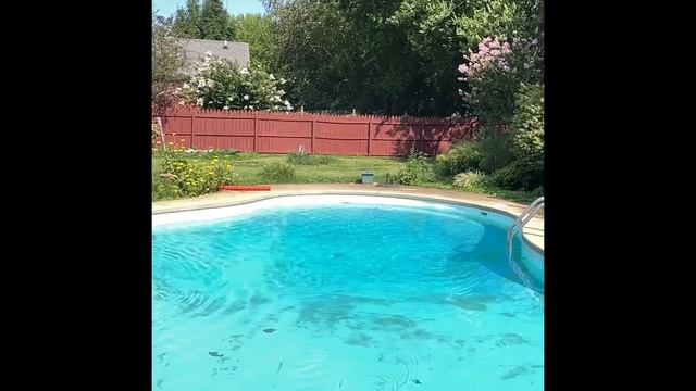 Messing Around with a Daiwa Regal-Z 2500C on a Shakespeare Pole смотреть онлайн