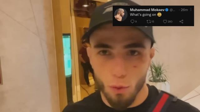 ЯРОСТНЫЕ РЕАКЦИИ БОЙЦОВ UFC - АНКАЛАЕВ vs БЛАХОВИЧ. МАХАЧЕВ, ЧИМАЕВ, ХАБИБ, UFC 282 - НОВОСТИ ММА смотреть онлайн