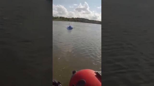 Неожиданный трофей на джиг. смотреть онлайн