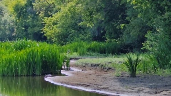 #СПЛАВ вдвоем с ночёвкой | рыбалка на сплаве | отдых на реке