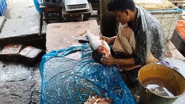 Fresh Alive Fish Market And Fish Cutting At Rural Village In Bangladesh। BD Village Fish Market