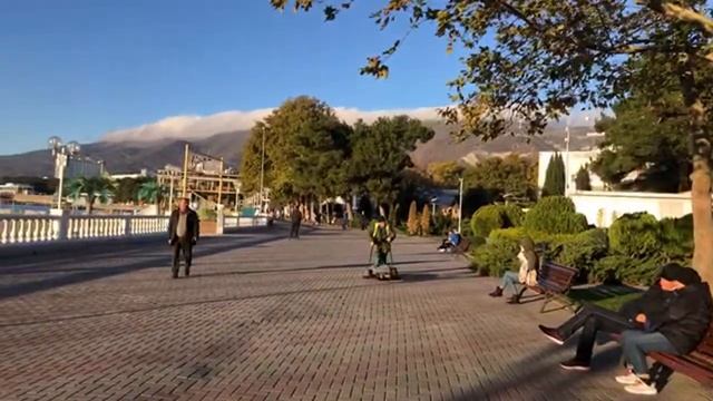 ГЕЛЕНДЖИК ПОГОДА 16 НОЯБРЯ 2020г. Центральный причал. КОРМИМ ЧАЕК смотреть онлайн