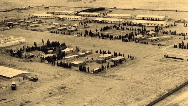 Виды 101 мсп смотреть онлайн
