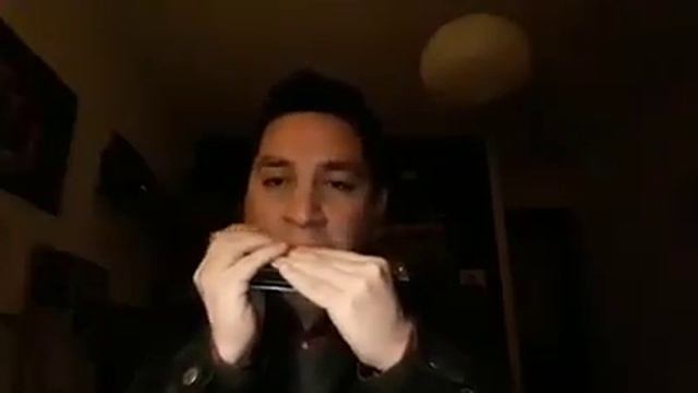 Matías Rossel Armonicista - Practicing Chromatic Harp William Clarke style смотреть онлайн