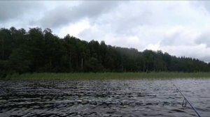 озеро Сенновское. Рыбалка 20.06.2024.