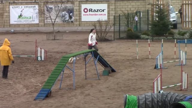 Гонтарева Дарья аджилити смотреть онлайн
