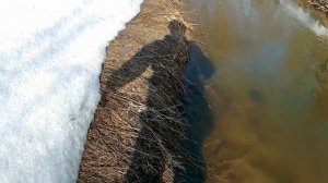 Весенний мормышинг.голавль на микроречке