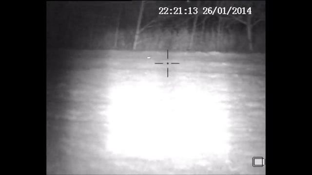 Armasight Drone Pro Digital Night Vision Riflescopes