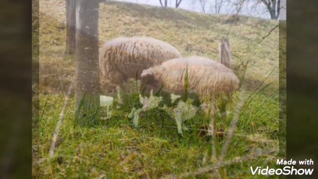 СУ Елин Пелин - 6 май, 12 клас смотреть онлайн