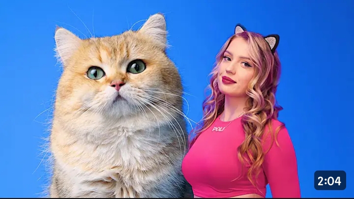 Poli - Котик смотреть онлайн