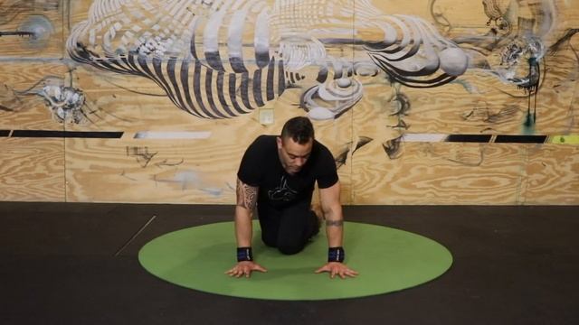 LEARN TO FLOW Movement Class for Mobility & Strength [Yoga Primal Movement Animal Flow] смотреть онлайн