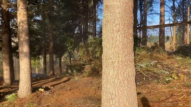 #19 Pruning, Potties, Plans, & Pellets смотреть онлайн