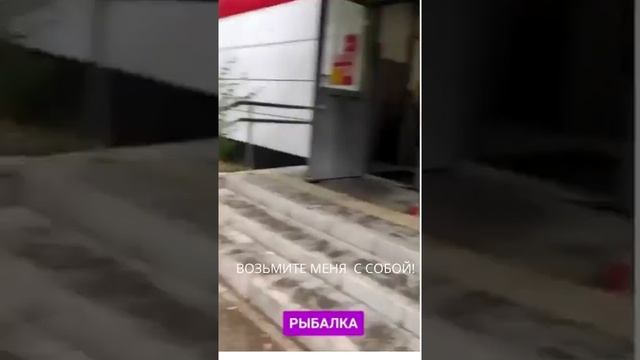 Возьмите меня с собой мужики #мужик #рыбалка #отдых смотреть онлайн