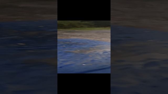 29.09.24 штамповка 8 хоругвино смотреть онлайн