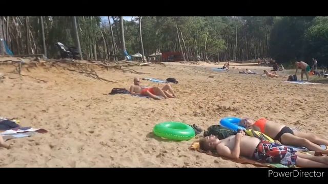 Maximo-Tv vlog z ovčár смотреть онлайн