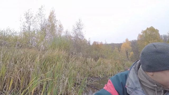 Рибалка на ІРДИНСЬКИХ болотах. Назбирали ГРИБІВ смотреть онлайн