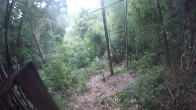 THE GIBBON EXPERIENCE- SAVE ENDANGERED ANIMALS! смотреть онлайн