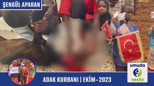 ŞENGÜL APARAN ADAK KURBANI смотреть онлайн