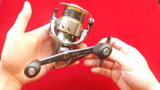 Shimano Reel 14 STELLA C3000SDH From JAPAN