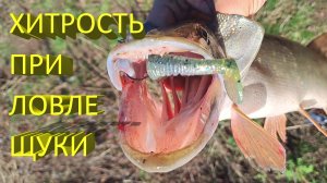 🔥 ХИТРОСТЬ при ловле на ДЖИГ пассивной ЩУКИ. Рыбалка осенью на Keitech, Pontoon 21, Reins, Mepps 🔥