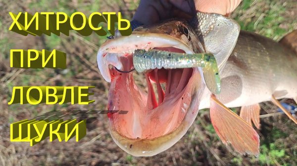 🔥 ХИТРОСТЬ при ловле на ДЖИГ пассивной ЩУКИ. Рыбалка осенью на Keitech, Pontoon 21, Reins, Mepps 🔥