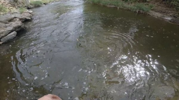 Testing the GanCraft Jointed Claw 70S / SMALL STREAM / TROUT Bfs ACTION / Forellenangeln am Bach