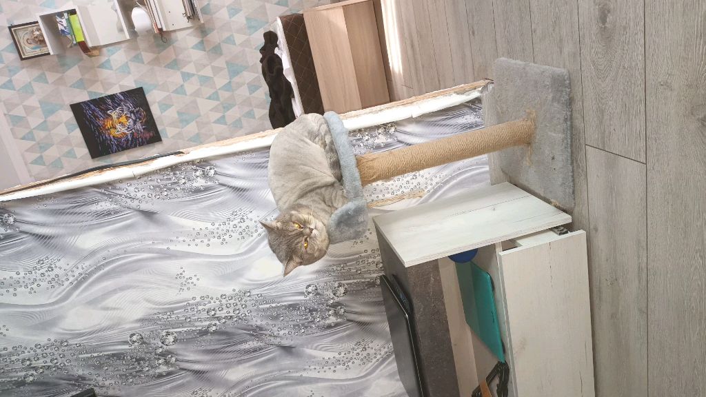 фотографии