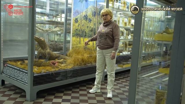 Онлайн экскурсия в Зоологический музей смотреть онлайн