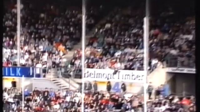 Round 21 Geelong VS Essendon 1993 Gary Ablett VS Dustin Fletcher смотреть онлайн