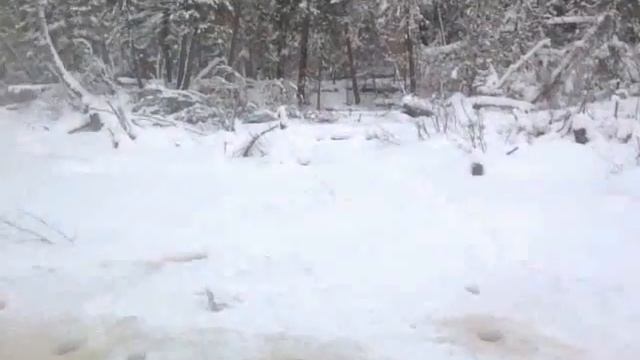 13 ноября 2016г. - 28С Ловля окуня смотреть онлайн