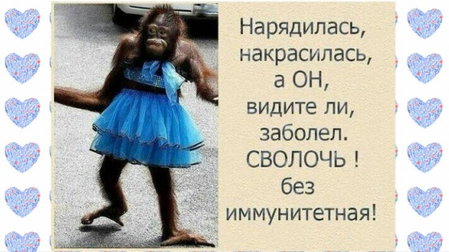 Сеструха нарядилась киской и доказала брату что в марте пизда чешется не только у кошек Сеструха нарядилась киской и доказала брату что в марте пизда чешется не только у кошек