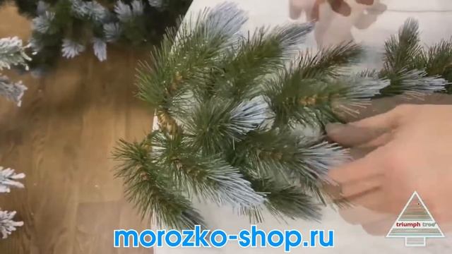 73101 гирлянда ЖЕНЕВА заснеженная смотреть онлайн