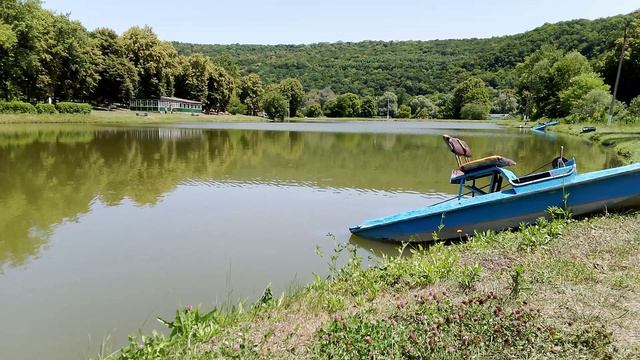 Пруд с катамараном и пение птиц смотреть онлайн