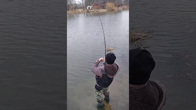 Favorite X1 762M vs. Tolstolobik 140cm p2 смотреть онлайн