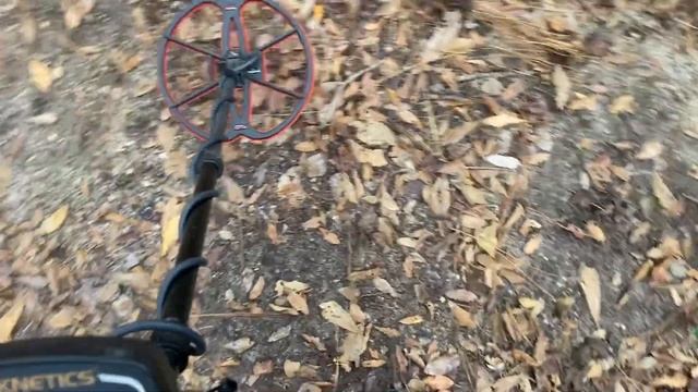 Teknetics T2- Nel Superfly vs Detech Ultimate 13 in the garden смотреть онлайн