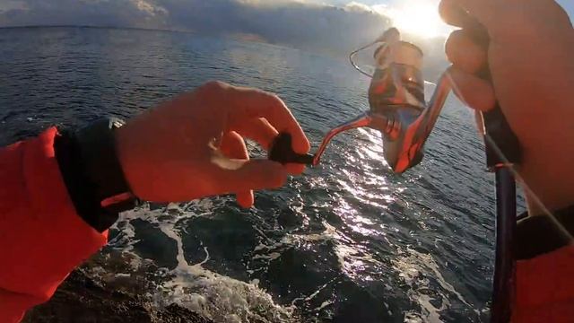 🔥Xesta RunWay SLS 94🔥