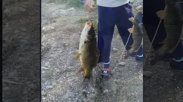 Худжанд красивий город рай смотреть онлайн