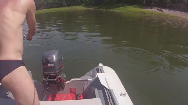 Crazy fish смотреть онлайн