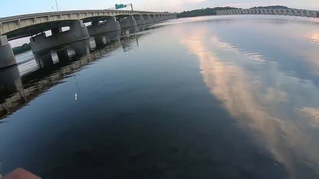 Testing out the Rebel Crickhopper popper BFS Fishing bait. смотреть онлайн