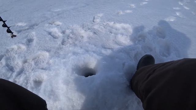 Глухозимье в конце марта! смотреть онлайн