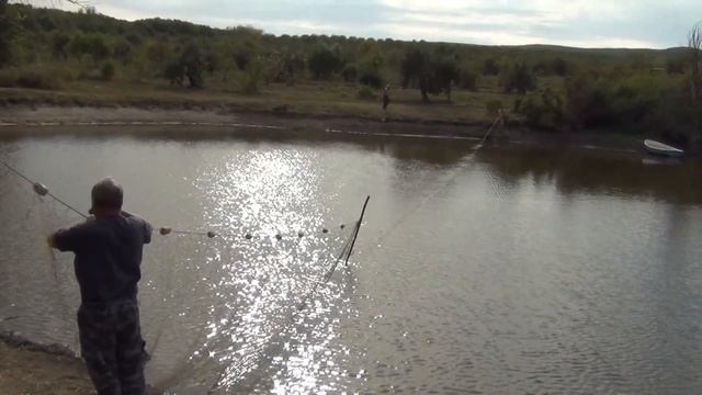 Наш пруд для разведения рыбы,ловля бреднем толстолобика.Рыбалка.\fish net ,carp смотреть онлайн