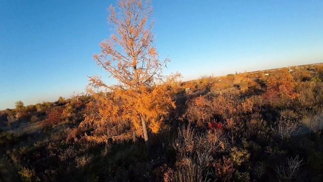 FPV Freestyle (Яровое)