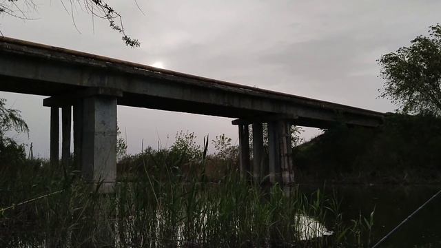РЫБАЛКА на ТЕПЛОМ КАНАЛЕ НОВОЧЕРКАССКОЙ ГРЭС с НОЧЁВКОЙ!!! САЗАН, КАРАСЬ, СОМ, ГУСТЕРА на ФИДЕР!!! смотреть онлайн